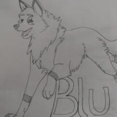 Profile picture of Blu