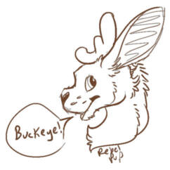 Profile picture of Buckeye