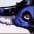 Profile picture of Minty