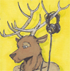 Profile picture of Donovan