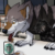 Profile picture of Lykanos Wulfheart