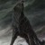 Profile picture of Fenrir