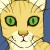 Profile picture of Chiffon