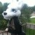 Profile picture of Lexi