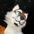 Profile picture of crygus