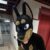 Profile picture of FURRYPORN