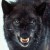 Profile picture of Convel