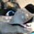 Profile picture of wulfsige