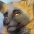 Profile picture of Niche