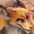 Profile picture of Redflare