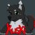 Profile picture of Kuski