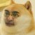 Profile picture of Ethan R.