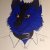 Profile picture of BlueWolf
