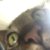 Profile picture of Twilight