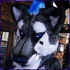 Profile picture of SaltyPuppy