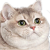 Profile picture of Echo
