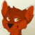 Profile picture of Codey