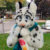 Profile picture of SilverStitches