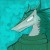 Profile picture of Nomis
