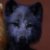 Profile picture of MKgaro