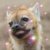 Profile picture of Madamao