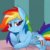 Profile picture of Dashie69