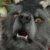 Profile picture of Ragnarok