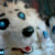 Profile picture of Neko Wafer