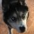Profile picture of Max