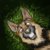 Profile picture of Shepherd Wilde