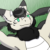 Profile picture of Nori