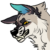 Profile picture of Senka