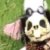 Profile picture of Miko