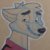 Profile picture of Arcteck