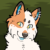 Profile picture of Jupiter Barks