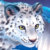 Profile picture of Jaemin Glider