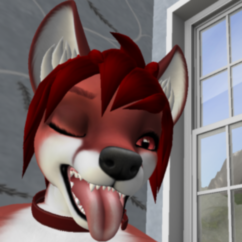 Profile picture of Foxy Kitsune