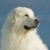 Profile picture of Nimbus
