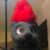 Profile picture of Smoky