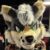 Profile picture of Fenrir Garou