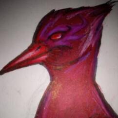 Profile picture of Rubellite Dragonbird/Scintilla Felis