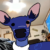 Profile picture of Blitzer