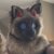Profile picture of Maddie “Devie” McBain