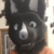 Profile picture of Cassie