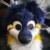Profile picture of MetroMutt