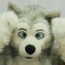 Profile picture of moonblazewolf