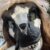Profile picture of Lynnea Cat