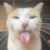 Profile picture of Nixen/Katt