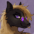 Profile picture of Nomad