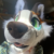 Profile picture of Jach
